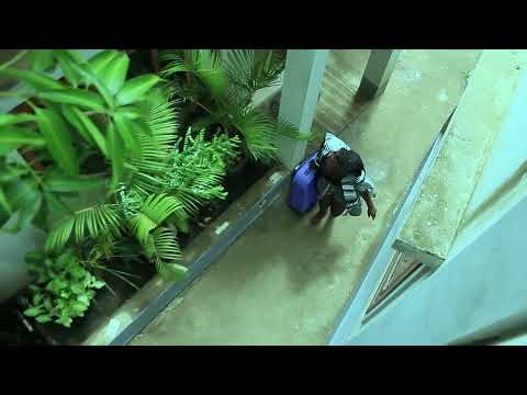 Alice Marcod - Futuro Marido (Official Teaser)