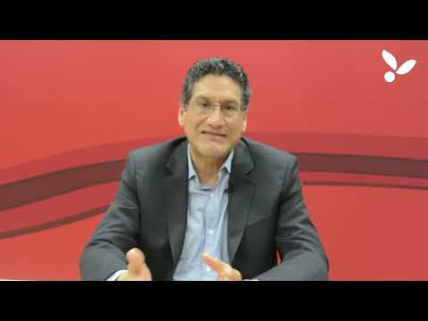 El mundo prefiere los alimentos peruanos (VIDEO)
