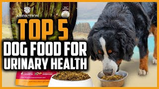 ✅Top 5 Best Dog Food for Urinary Health of 2022