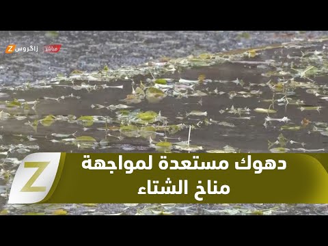فيديو | #دهوك.. استعدادات مديرية البستنة لمواجهة تقلبات مناخ الشتاء
