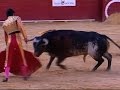 Raw: Spanish Matador Fatally Gored By Bull