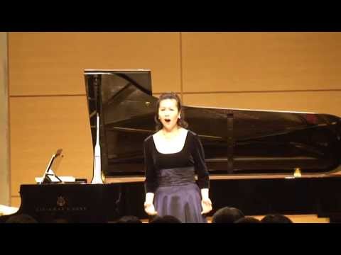 Akiko Hayashida - Wolf: Die Bekehrte