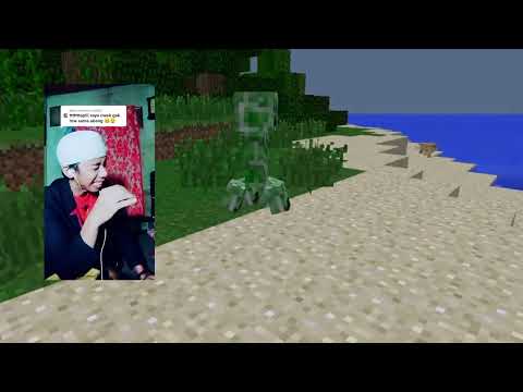 Kedipan Matahari Creeper