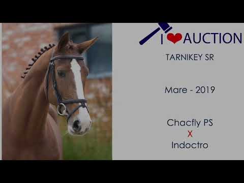 Tarnikey SR show video 2