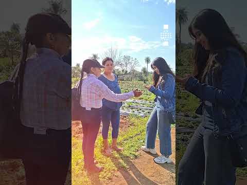 El Censo de Agricultores y Artesanos llegó hasta la ciudad de Areguá