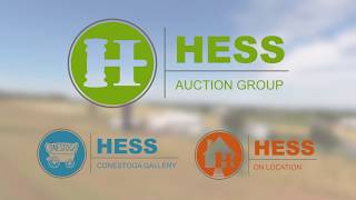 Hess Auction Group
