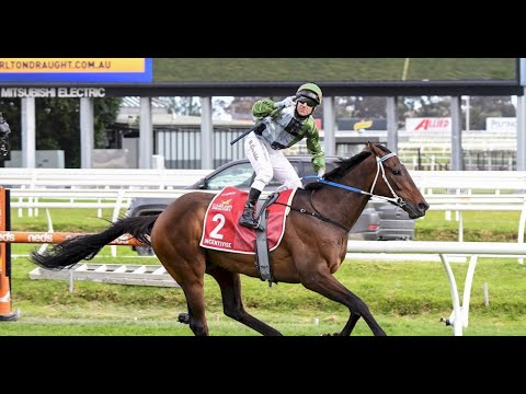 Incentivise - From Sunny Coast Mdn To Melbourne Cup In 6 Months