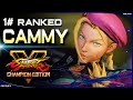 Baliox (Cammy) ➤ Street Fighter V Champion Edition • SFV CE