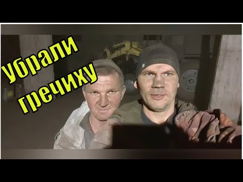 Убрали гречиху. Сепаратор Мастерица. Что едим/ Семья Фетистовых