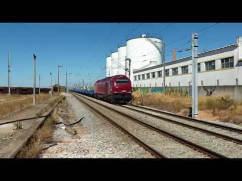 Comboio Especial n.º 98204/5 - Riachos