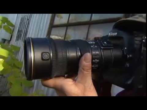 Lilac Gallery Exhibition GOWANUS: OFF THE WATER’S SURFACE on NBC News4