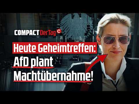 Heute Geheimtreffen: AfD plant Machtübernahme💥