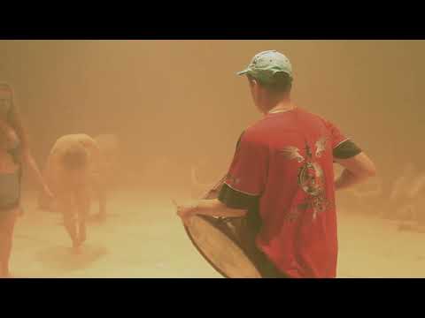 Cryptic Bodies - Final part