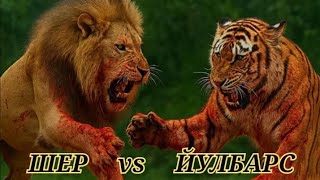 Шер ва Йулбарс Жанги / Кайси Йирткич Кучлирок #шер_ва_йулбарс #обуна_булинг #hammaga_qiziq