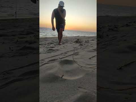 Pesca de Costa - Atardecer - Playa Santa Regina - Colonia - Uruguay