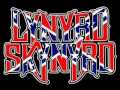 Lynyrd Skynyrd - swamp music
