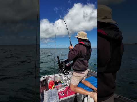 Starting to think we should Google some recipes with how many we’ve caught 🪕🦈😭🎣 #catchandrelease