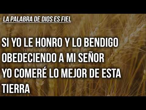 LA PALABRA DE DIOS ES FIEL 🌅 (PIANO) | Con letra