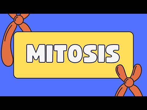 Proto-oncogenes and Tumor Suppressor Genes
