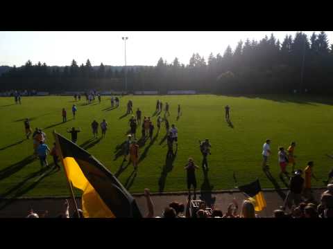 FC Alkofen Meister 2014