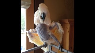 Love me for who I am