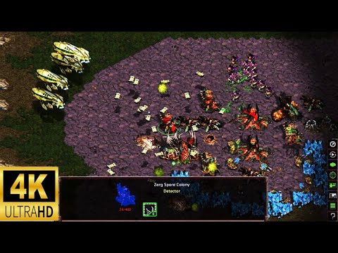 Starcraft 3v3 4K 2021003