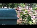 पटना का सबसे ज्यादा चुम्मा चाटी वाला प