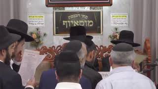 הרב בן ציון מוצפי  •  פרשות אחרי מות קדושים תשפ'ו