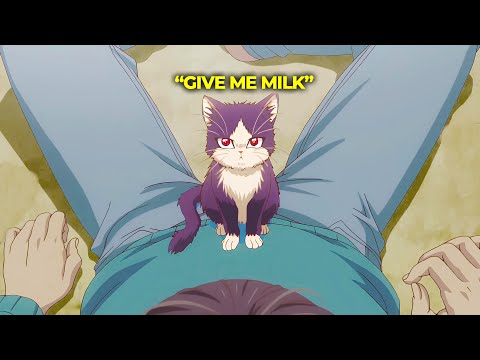 Wholesome Anime For Sleep | My Roommate Is a Cat