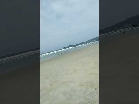 19 de novembro de 2023