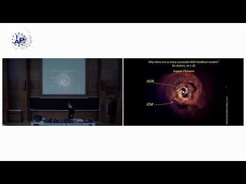 Why there are so many successful AGN Feedback models?