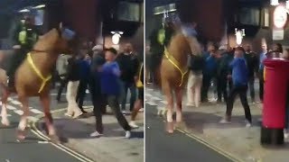 video: Football fan arrested for 'punching a horse' after Portsmouth-Southampton derby