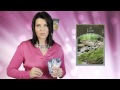 Colette Baron-Reid's Universal Energies for the ...