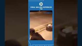 Download lagu Viral Maling Kepergok TNI mp3 Download lagu Viral Maling Kepergok TNI mp3