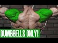 SHOULDER WORKOUT! (DUMBBELLS ONLY!)