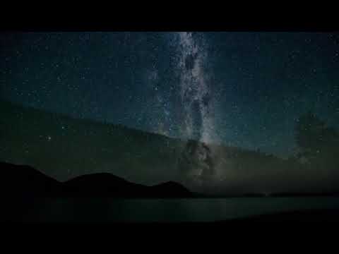 Nature Video One Minute