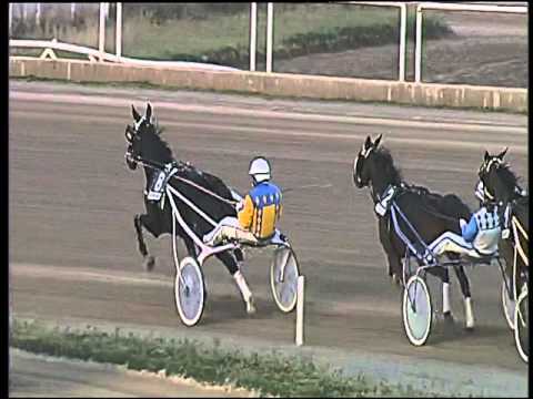 Trotto 05/02/2016 - 5° corsa