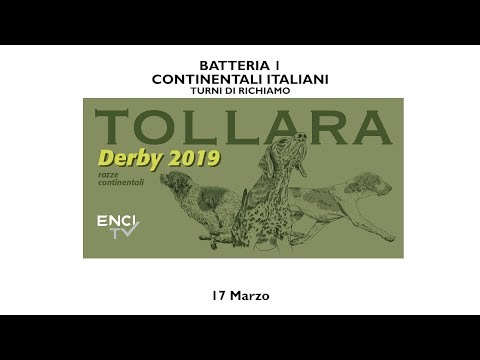 DERBY CONTINENTALI 2019 - CONTINENTALI ITALIANI - TURNI DI RICHIAMO - 17 MARZO