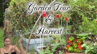 Garden Tour & Harvest-Tropical Rain Can’t Stop This Garden! 🌱 #gardentour #harvest #gardeningideas