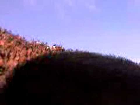 allo stadio lecce chievo 3-0