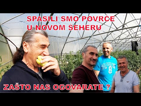 NEKI SU ZAVIDNI NA NAŠE USPJEHE - PRONALAZAK VODE U NOVOM ŠEHERU - VODA ZA PLASTENIKE