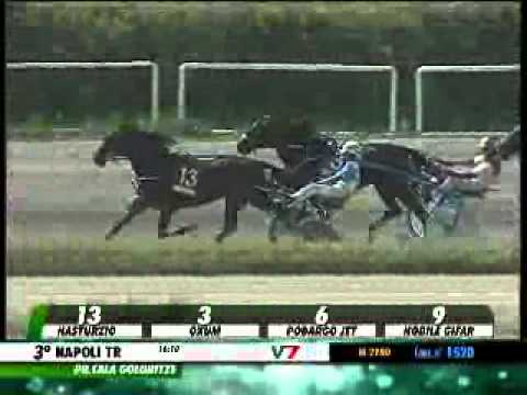 25/05/2014, Napoli , Premio Cala Goloritze C.naz.