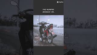 Download lagu #6 || Shogun 125 R paling caper nih bos.. 😁 mp3 Download lagu #6 || Shogun 125 R paling caper nih bos.. 😁 mp3