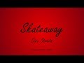 Dire Straits - Skateaway (Lyrics) - Making Movies (1980)