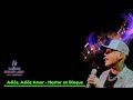 Nestor en Bloque - Adios amor adios - letra