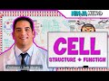 Cell Biology | Cell Structure & Function