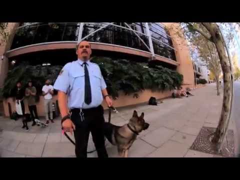 Reproducir vídeo