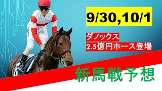 【新馬戦予想】9/30,10/1　ダノンの超高額馬登場！！エアズロック、キラウェアに続けるか！？