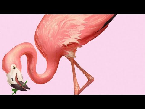 Half an Orange & Disero   Sit Like a Flamingo feat  Josh Bogert