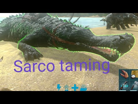 Ark: sarco taming